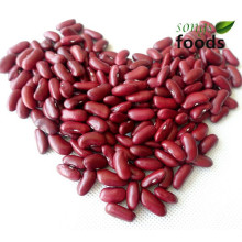 Red Kidney Beans Specification 200-220pcs/100g